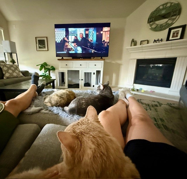 FurriendlyPaws | Furry Friends, Happy Hearts