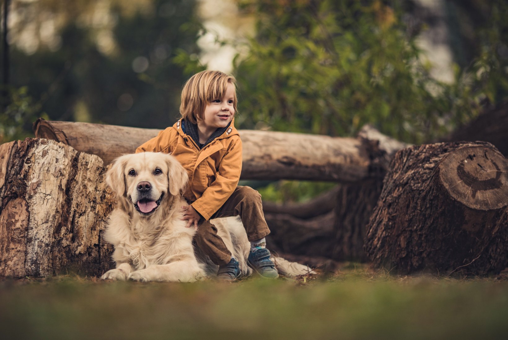 FurriendlyPaws | Furry Friends, Happy Hearts