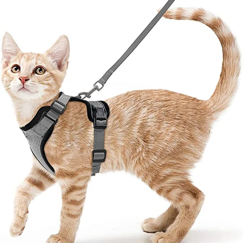 Explore Safely – Escape-Proof Cat Harness & Leash for Outdoor Adventures!