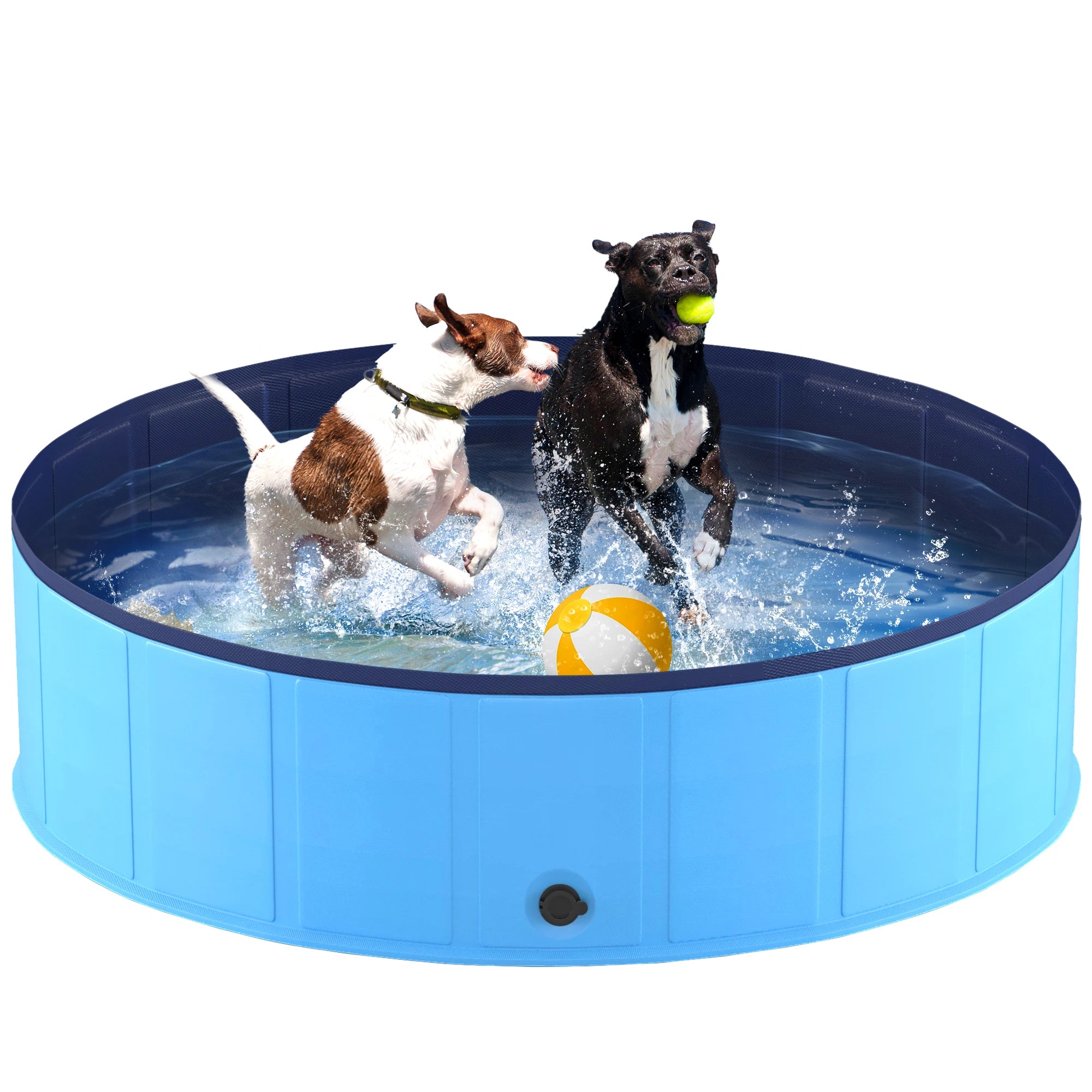 Foldable Pet Pool – Portable Hard Plastic Bath Tub for Dogs & Cats