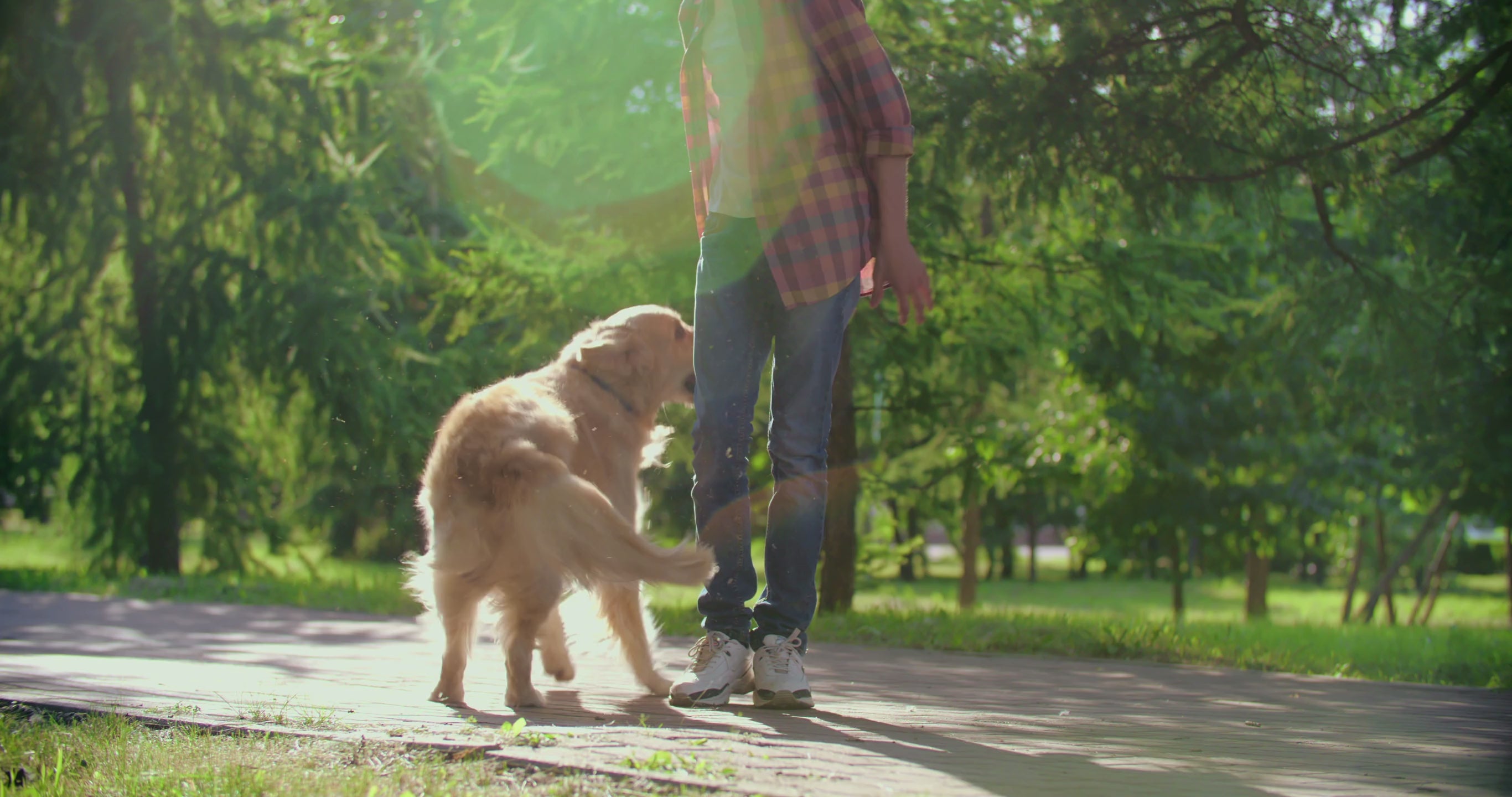 FurriendlyPaws | Furry Friends, Happy Hearts