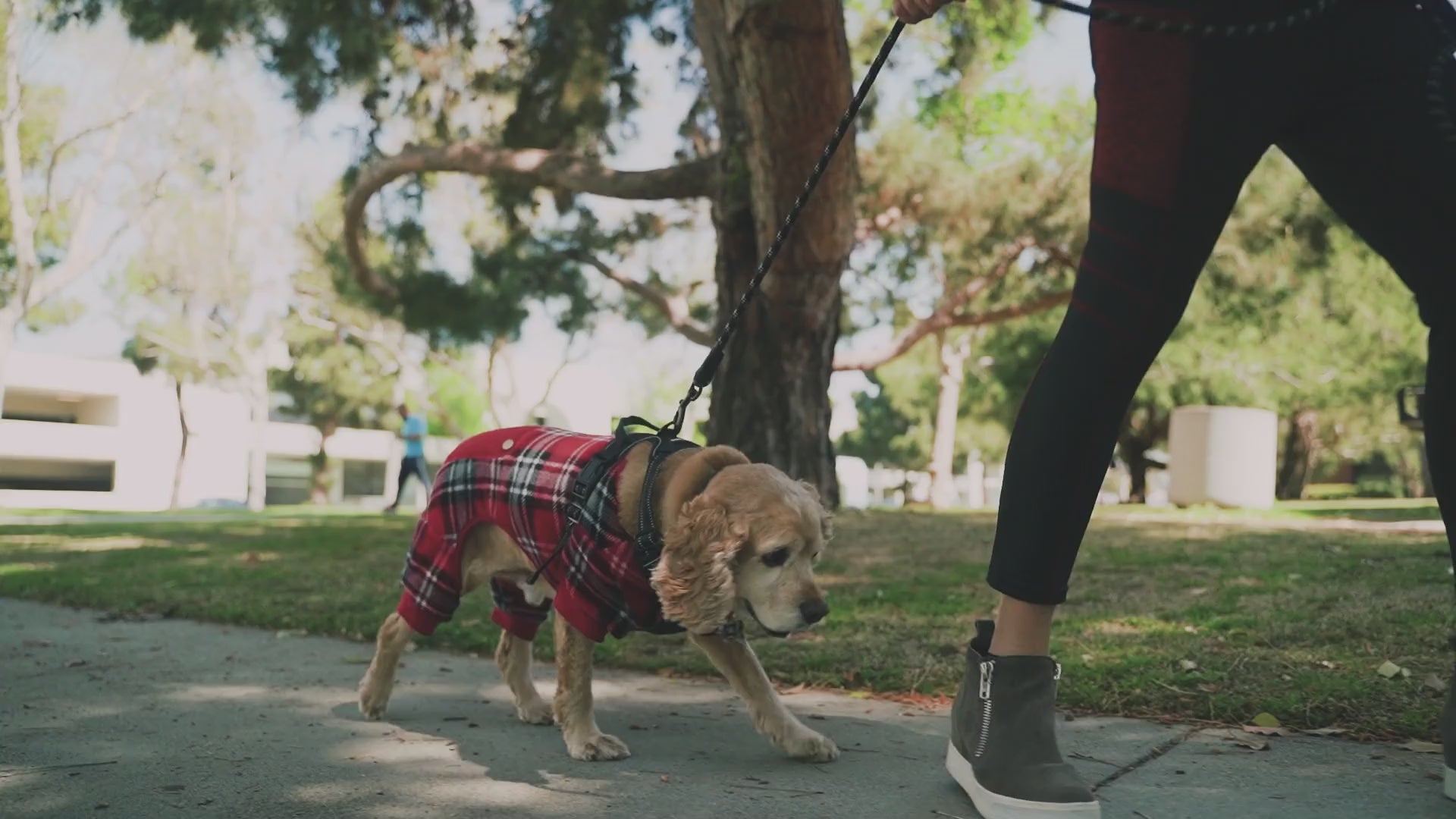 FurriendlyPaws | Furry Friends, Happy Hearts