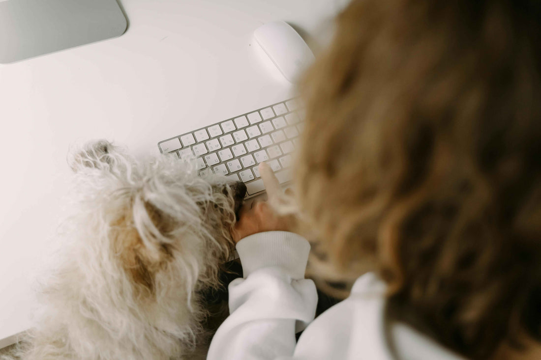 WFH = Work From Home... or With Furry Helpers?