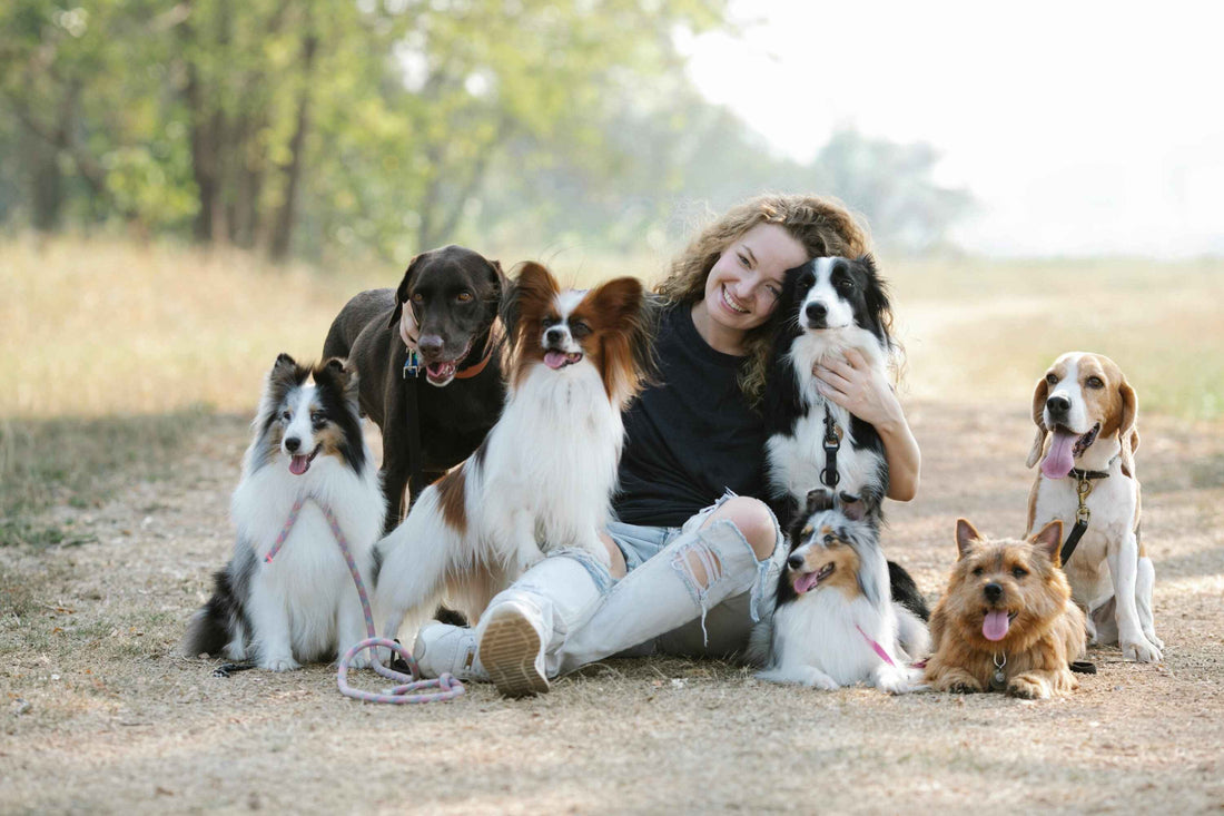 🐾 Pawrent Confessions: Things Only Pet Parents Will Understand 🐾