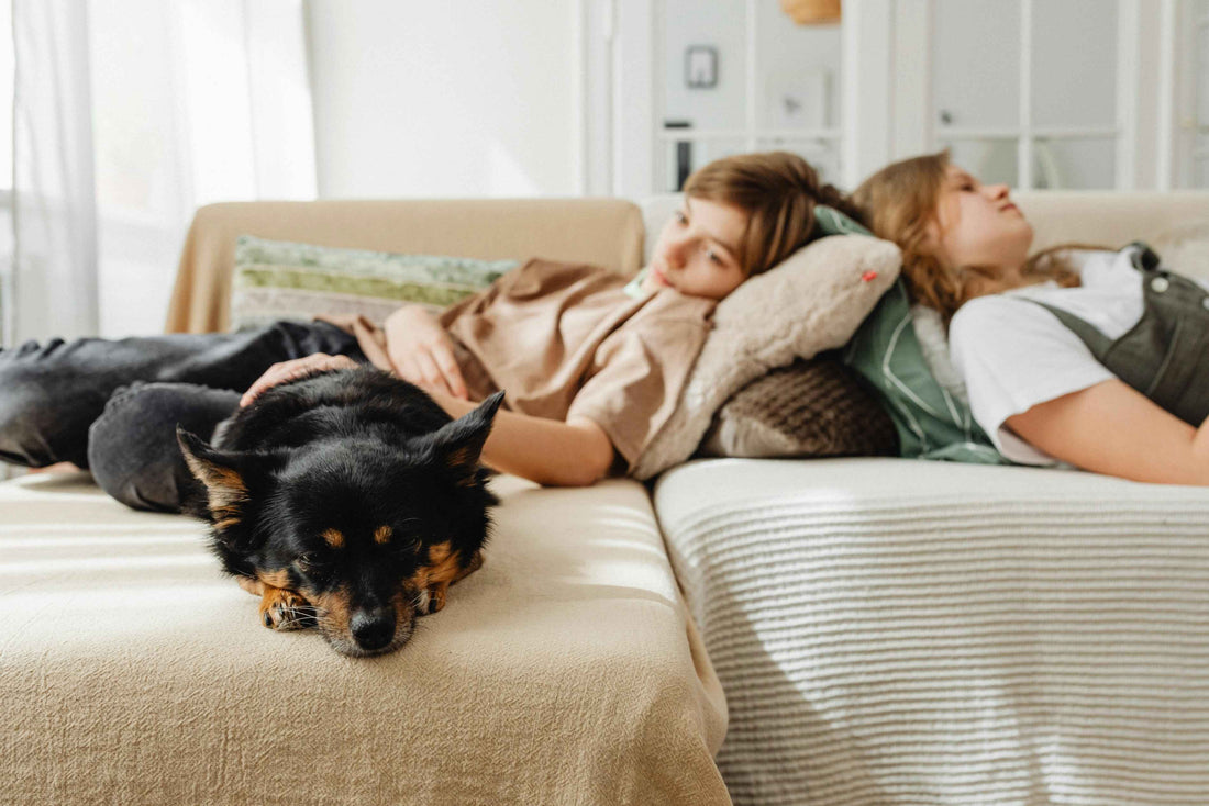 “You Are Their Whole World” – A Love Letter to Pet Parents