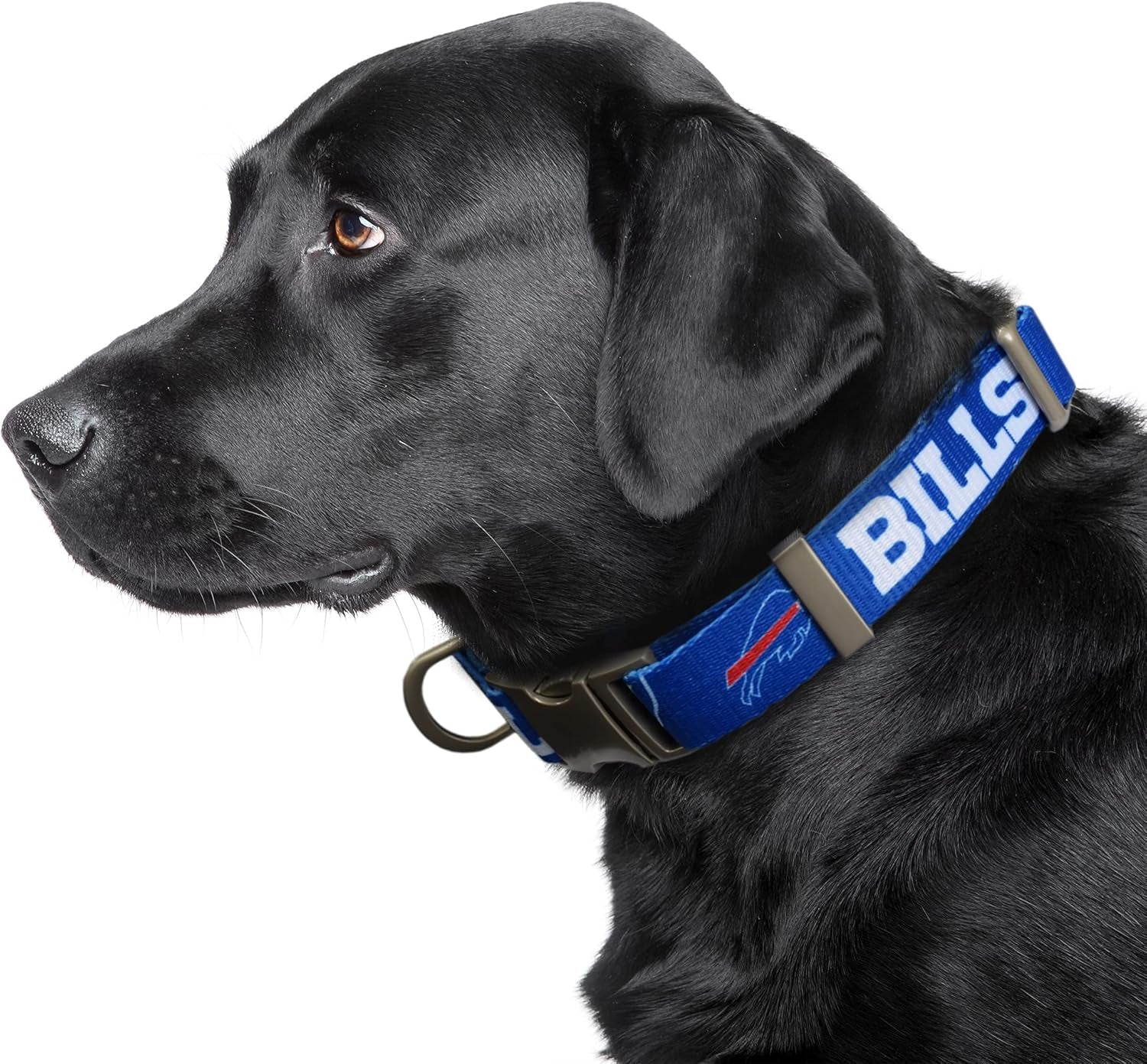 Official NFL Premium Pet Collar – Durable All-Metal Buckle
