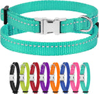 Teal dog collar with a silver buckle, surrounded by other colorful collars on a white background.