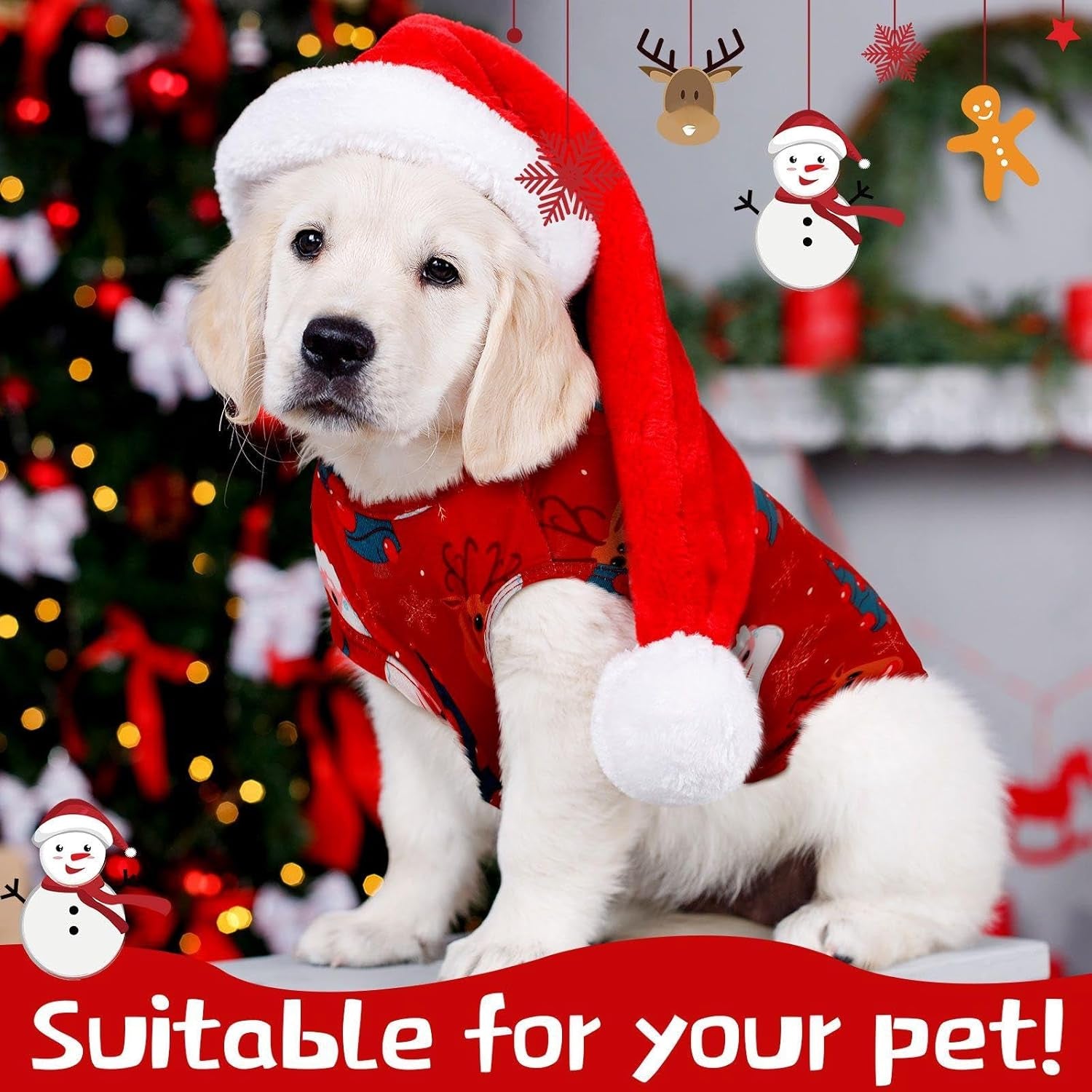 6-Pack Holiday Dog Shirts – Seasonal Outfits for Halloween, Thanksgiving & Christmas | Pet Tees for Dogs & Cats (S–XL) - FurriendlyPaws | Furry Friends, Happy Hearts