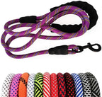 Purple dog leash with black clip on a white background, with additional color options displayed below.