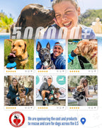 Portable Dog Water Bottle with Built-In Bowl – Leak-Proof, BPA-Free Travel Dispenser for Walks, Hiking & Outdoor Adventures