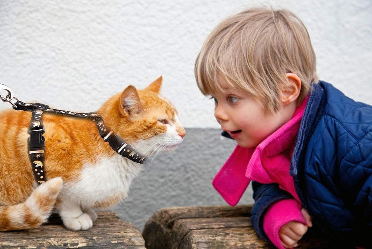 Cat Harness & Leash Set – Escape Proof Adjustable Nylon - FurriendlyPaws | Furry Friends, Happy Hearts