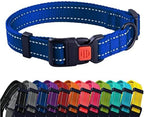Blue dog collar with a row of colorful collars below on a white background