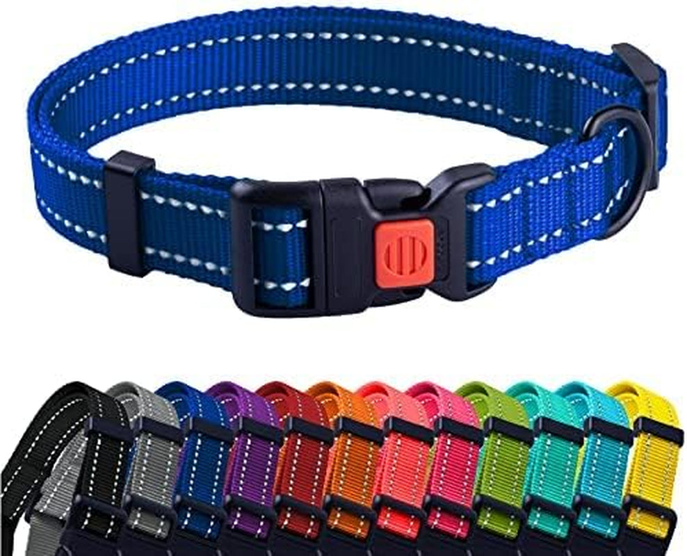 Blue dog collar with a row of colorful collars below on a white background
