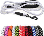 Dog leashes with various patterns and colors on a white background
