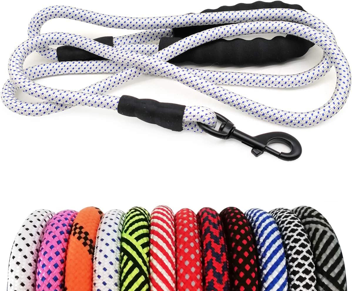 Dog leashes with various patterns and colors on a white background