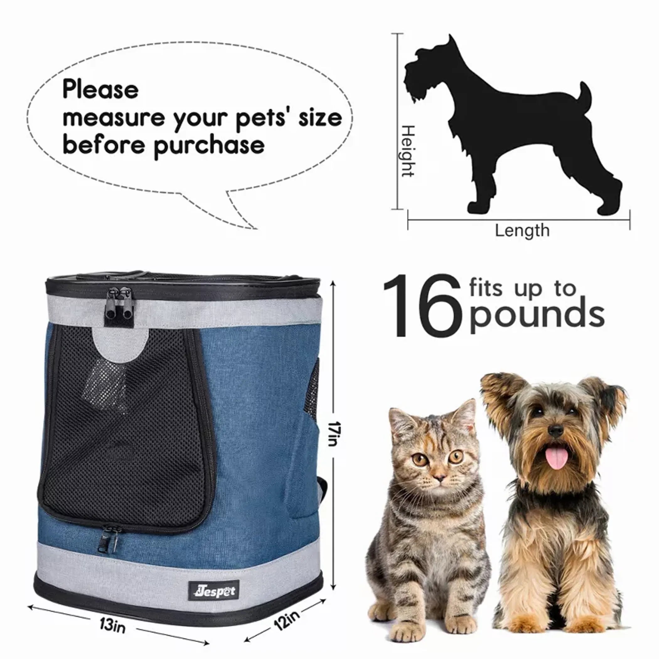 FurriendlyPaws | Furry Friends, Happy Hearts