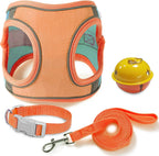 Escape Proof Cat Harness & Leash Set – Reflective, Adjustable, Secure - FurriendlyPaws | Furry Friends, Happy Hearts