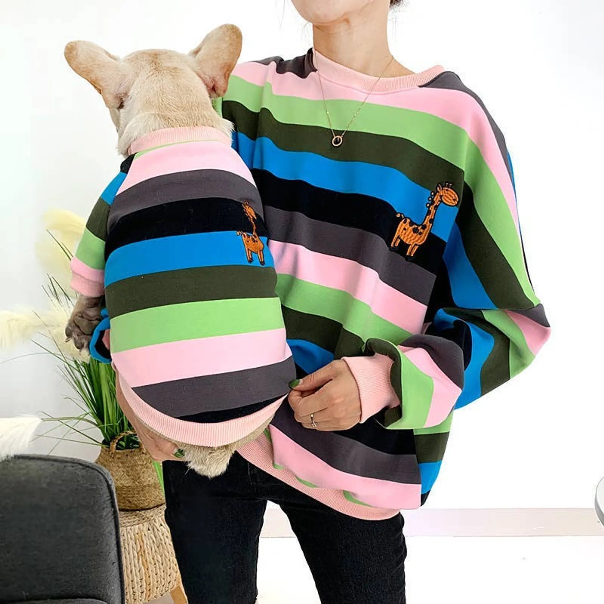 FurriendlyPaws | Furry Friends, Happy Hearts