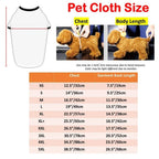 Matching Pet & Owner Sweater Set – Giraffe Stripe with Heart Print