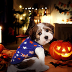 6-Pack Holiday Dog Shirts – Seasonal Outfits for Halloween, Thanksgiving & Christmas | Pet Tees for Dogs & Cats (S–XL) - FurriendlyPaws | Furry Friends, Happy Hearts