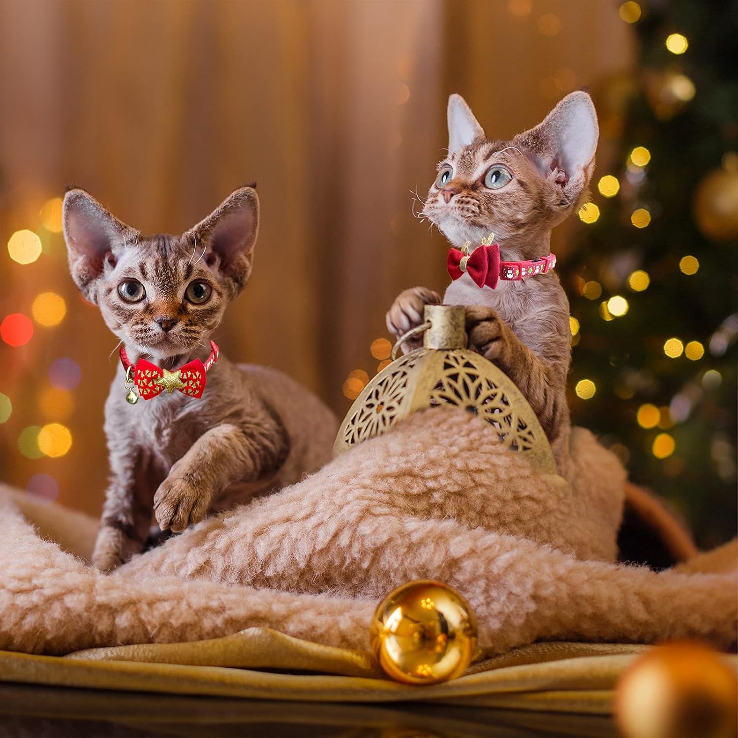 Seasonal Cat Collars 2-Pack – Breakaway Bow Ties with Bells - FurriendlyPaws | Furry Friends, Happy Hearts