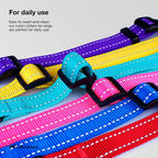 Colorful dog collars in purple, yellow, pink, blue, and red on a light gray background.