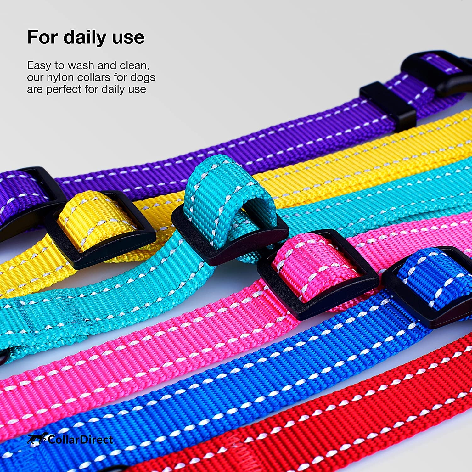 Colorful dog collars in purple, yellow, pink, blue, and red on a light gray background.