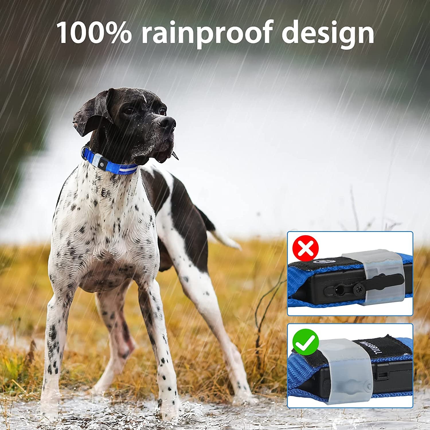 LED Dog Collar – Rechargeable Light-Up, Waterproof & Adjustable - FurriendlyPaws | Furry Friends, Happy Hearts
