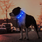 LED Dog Collar – Rechargeable Light-Up, Waterproof & Adjustable - FurriendlyPaws | Furry Friends, Happy Hearts