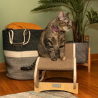Wooden Cat Rocking Chair – Cozy Swing & Scratch Spot for Cats