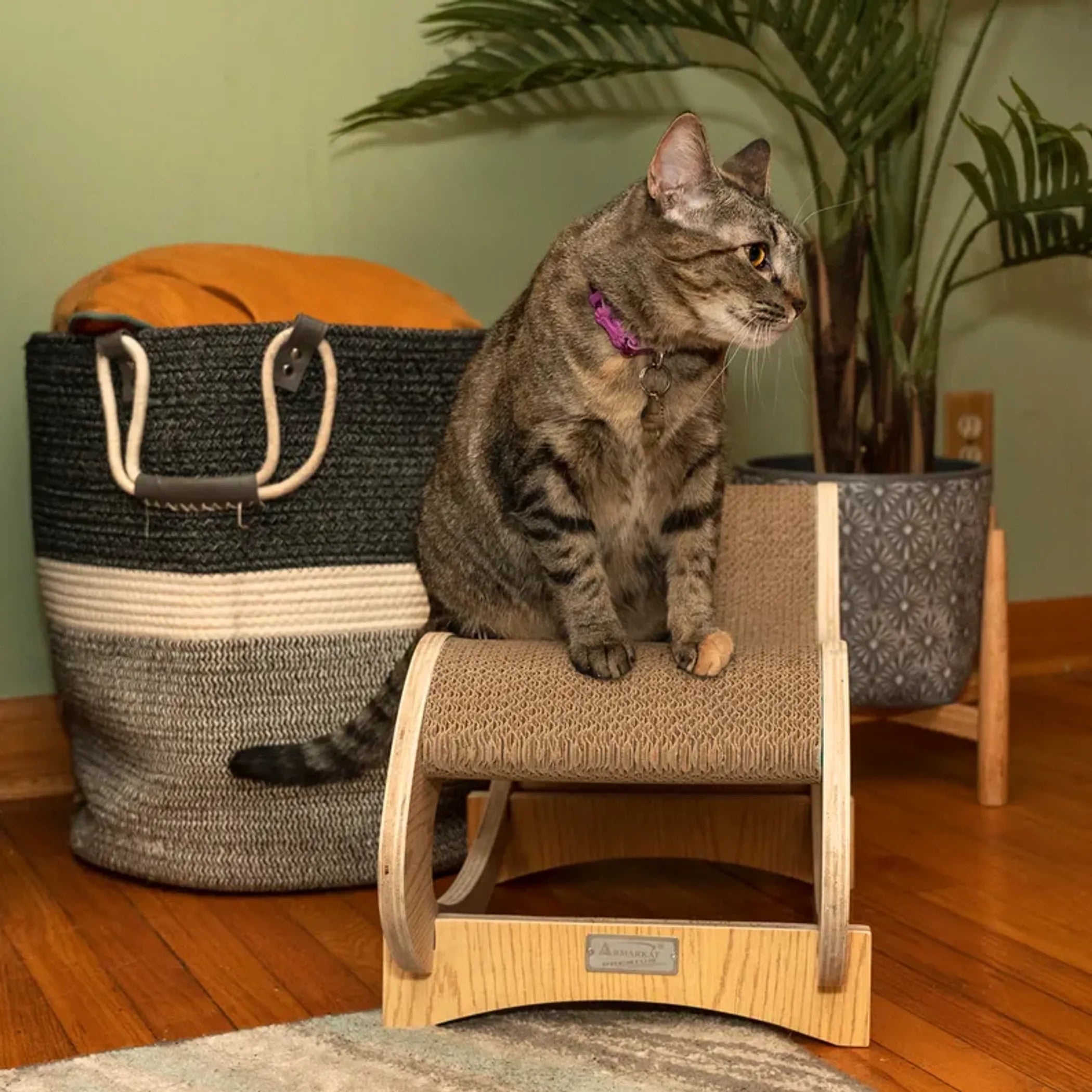 FurriendlyPaws | Furry Friends, Happy Hearts