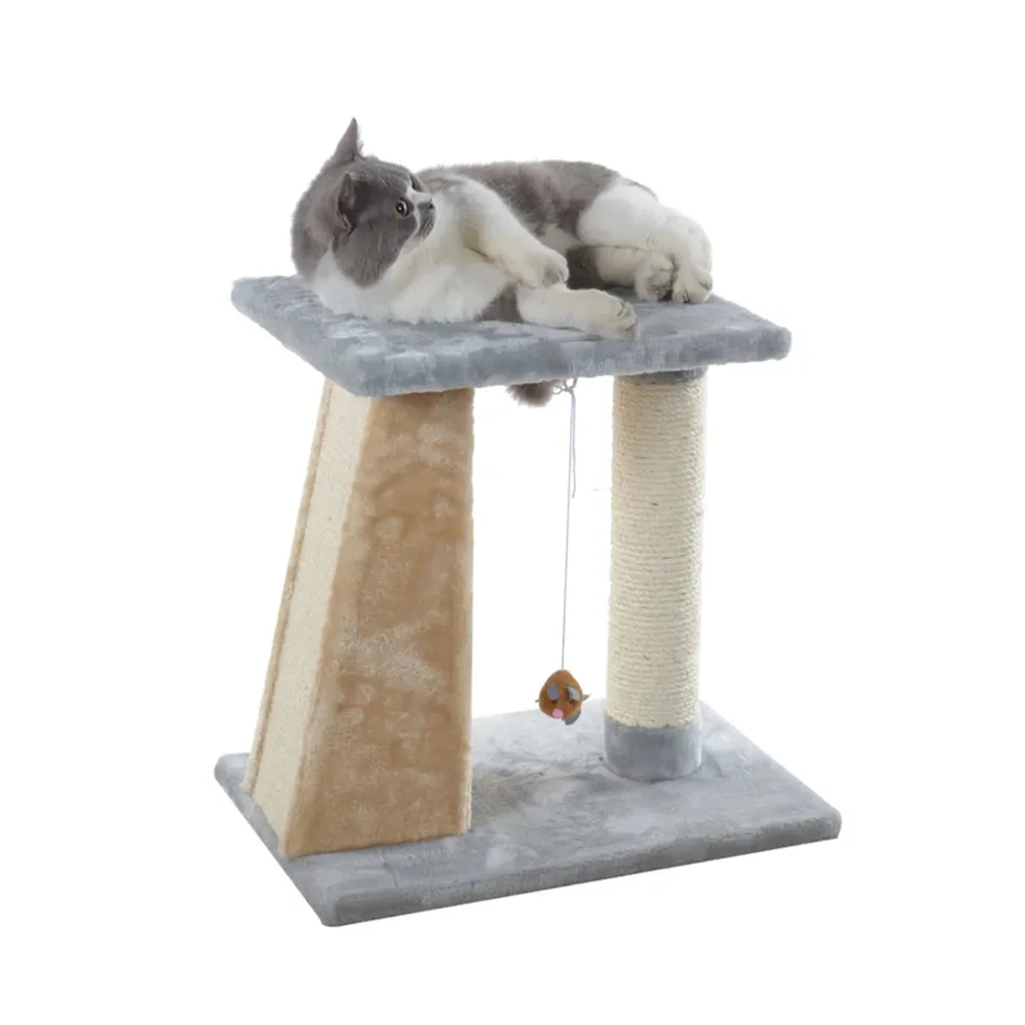 FurriendlyPaws | Furry Friends, Happy Hearts