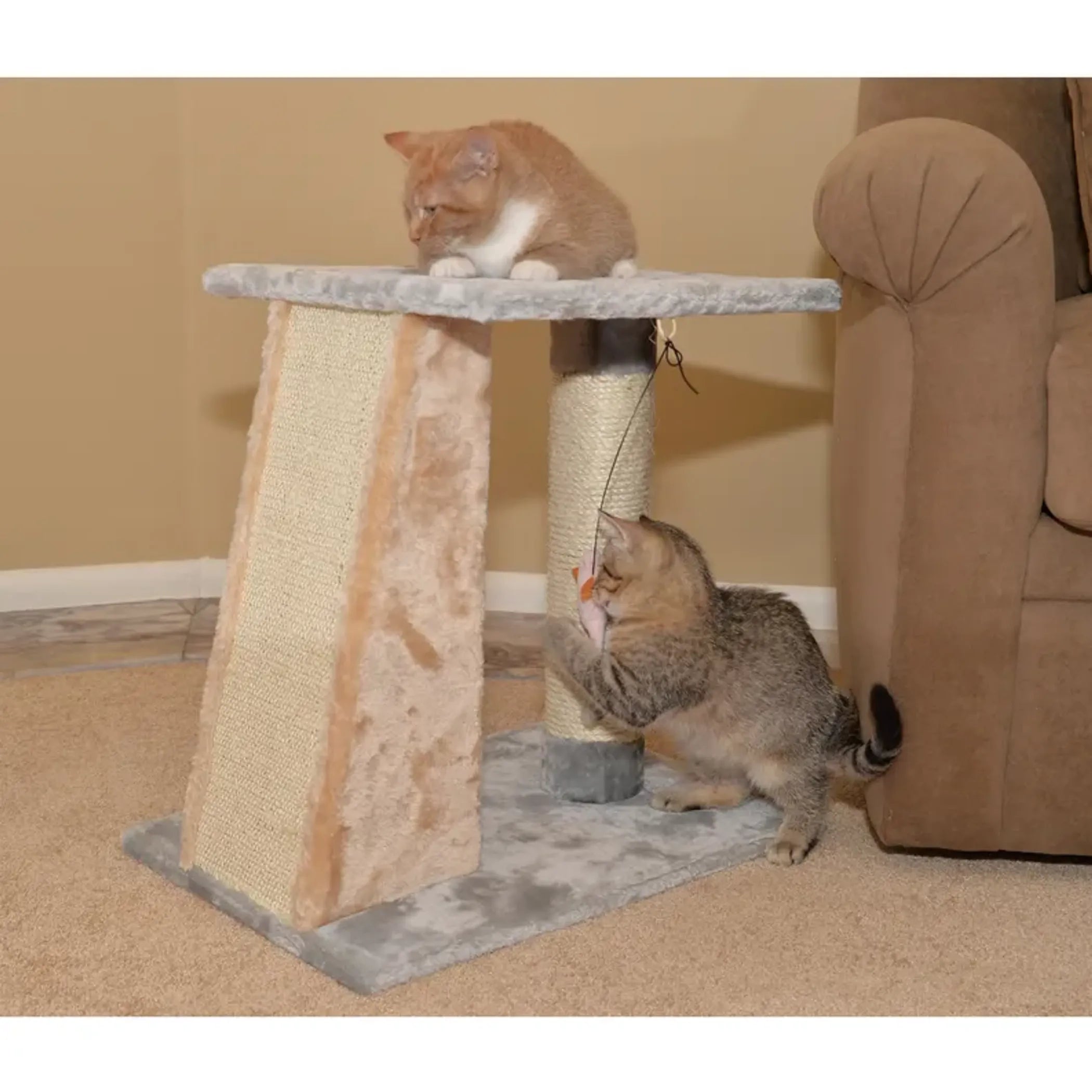 FurriendlyPaws | Furry Friends, Happy Hearts