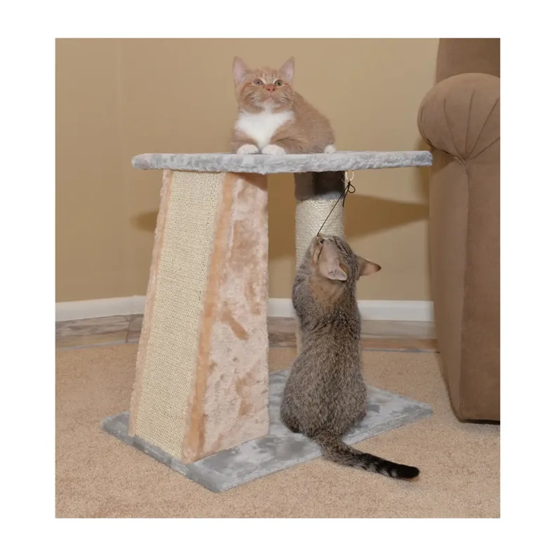 FurriendlyPaws | Furry Friends, Happy Hearts