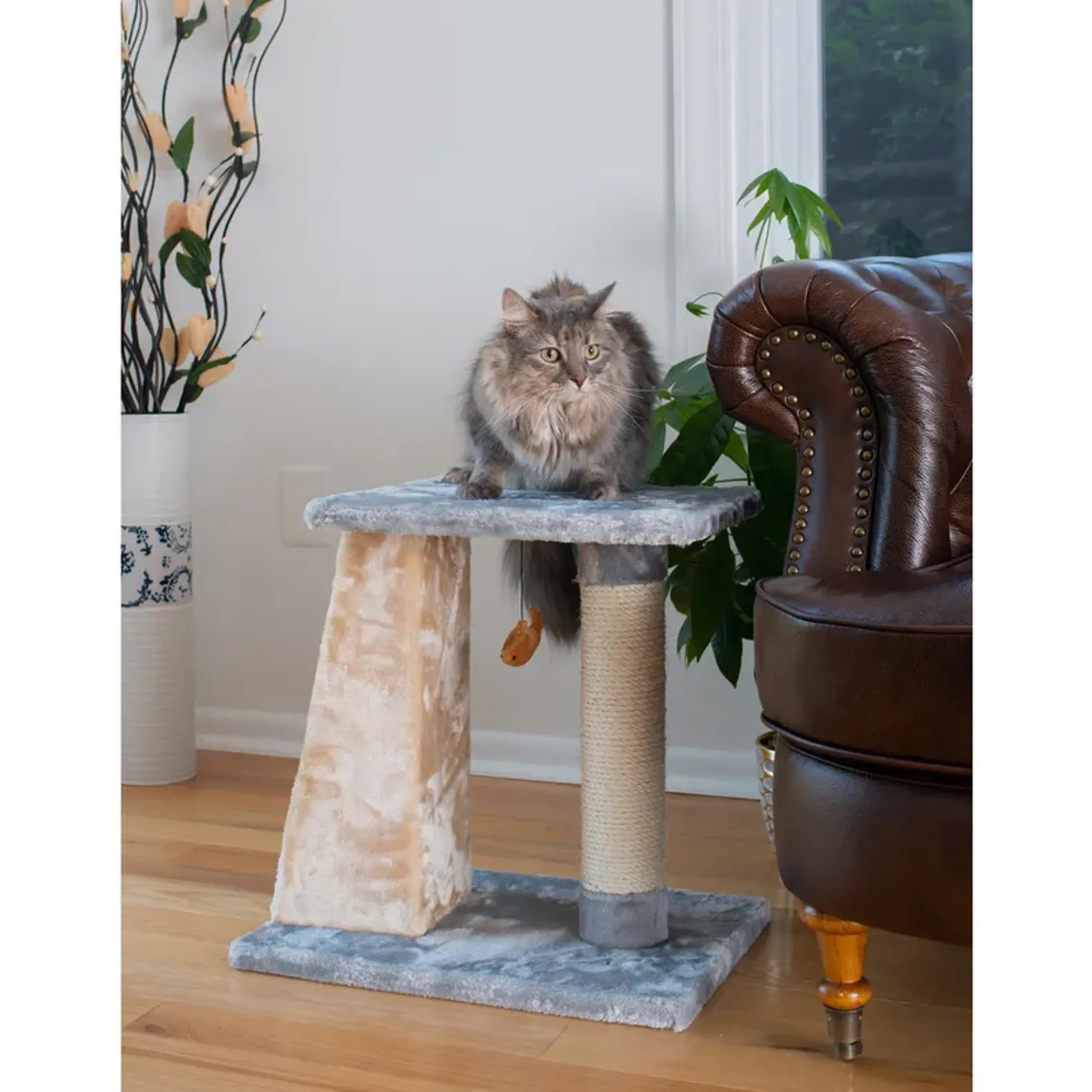 FurriendlyPaws | Furry Friends, Happy Hearts