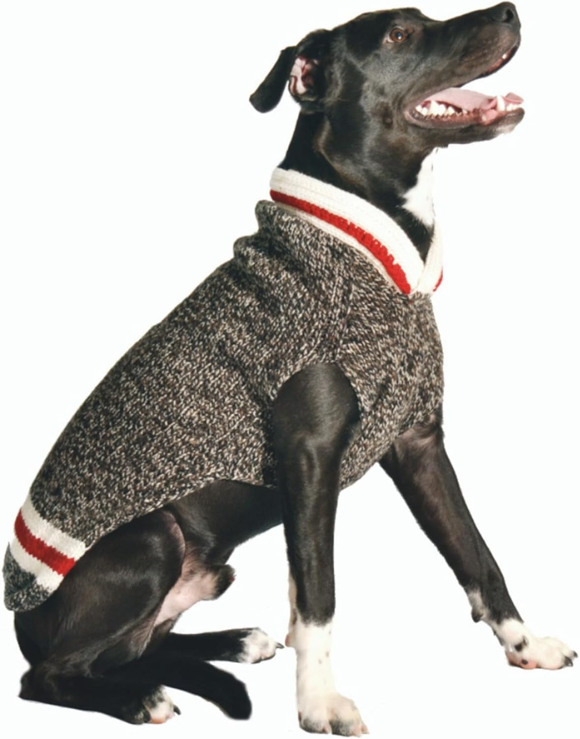 Boyfriend Dog Sweater (X-Large)