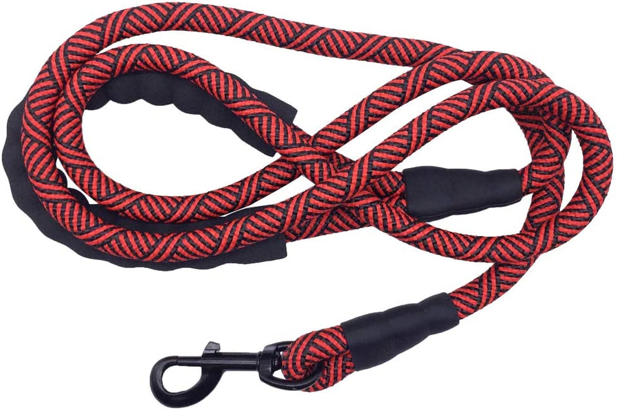Red and black braided dog leash with a metal clip on a white background