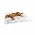 Best Friends by Sheri Shag Blanket – Cozy Comfort for You & Your Pet