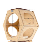 Natural Wood Cat Wall Tree Set | 2 Hexagonal Wall Condos