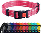 Reflective Nylon Dog Collar with Quick Release Buckle – Adjustable, Padded, and Swim-Friendly for Small, Medium & Large Dogs (10–13 Inch)