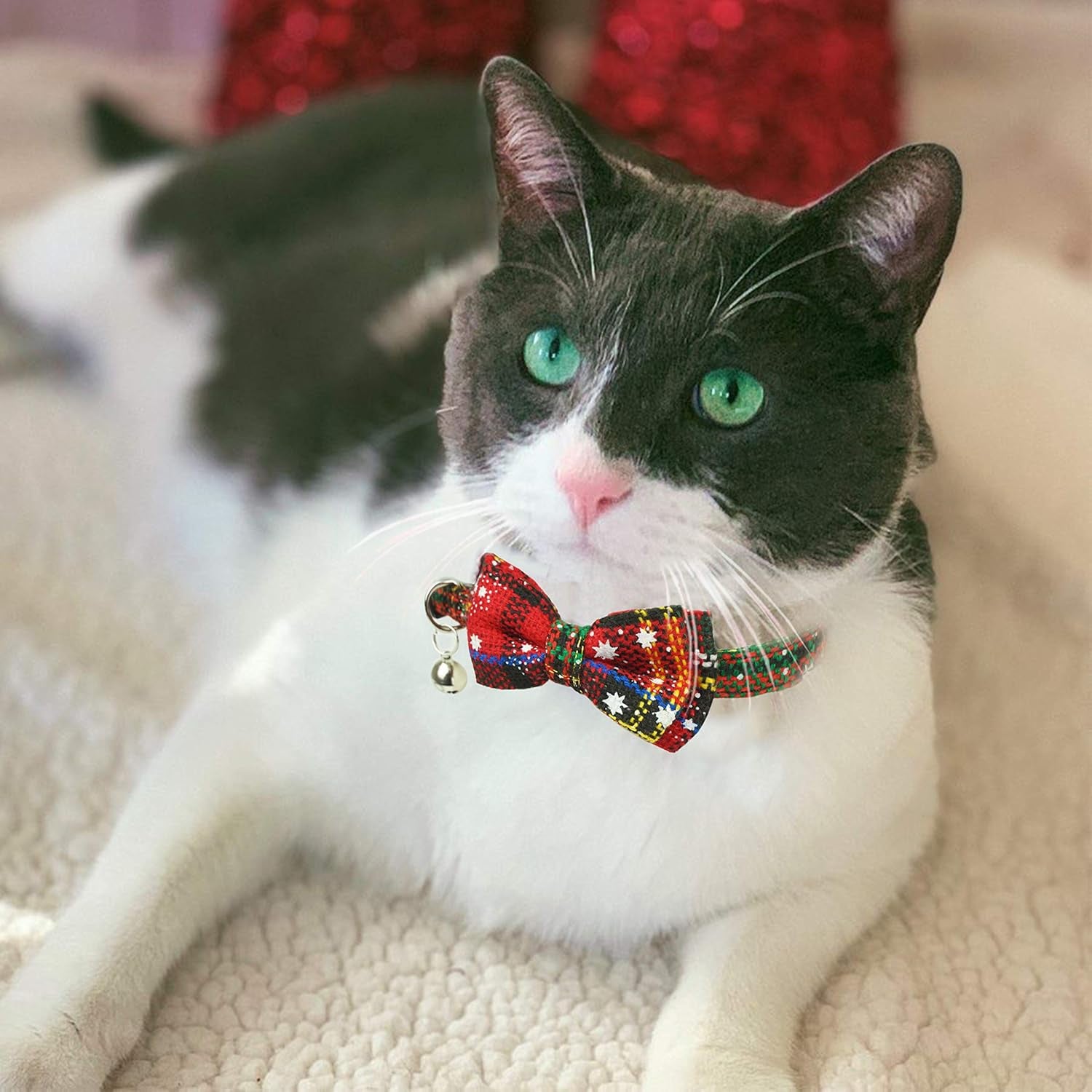 Christmas Cat Collar with Bow Tie & Bell – Holiday Buffalo Plaid Breakaway Collar for Cats & Kittens - FurriendlyPaws | Furry Friends, Happy Hearts