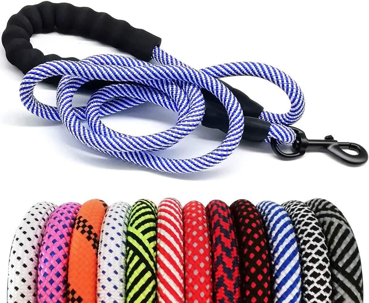 Dog leash with blue and white pattern on a white background