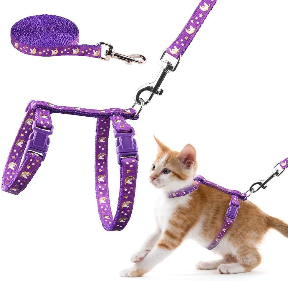 Cat Harness & Leash Set – Escape Proof Adjustable Nylon - FurriendlyPaws | Furry Friends, Happy Hearts