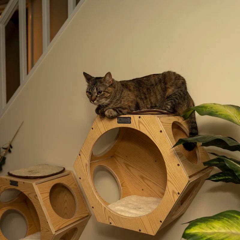 Natural Wood Cat Wall Tree Set | 2 Hexagonal Wall Condos
