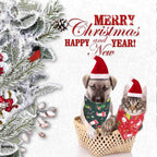 Christmas Dog Bandana & Santa Hat Set  - Holiday Scarf for Dogs & Cats