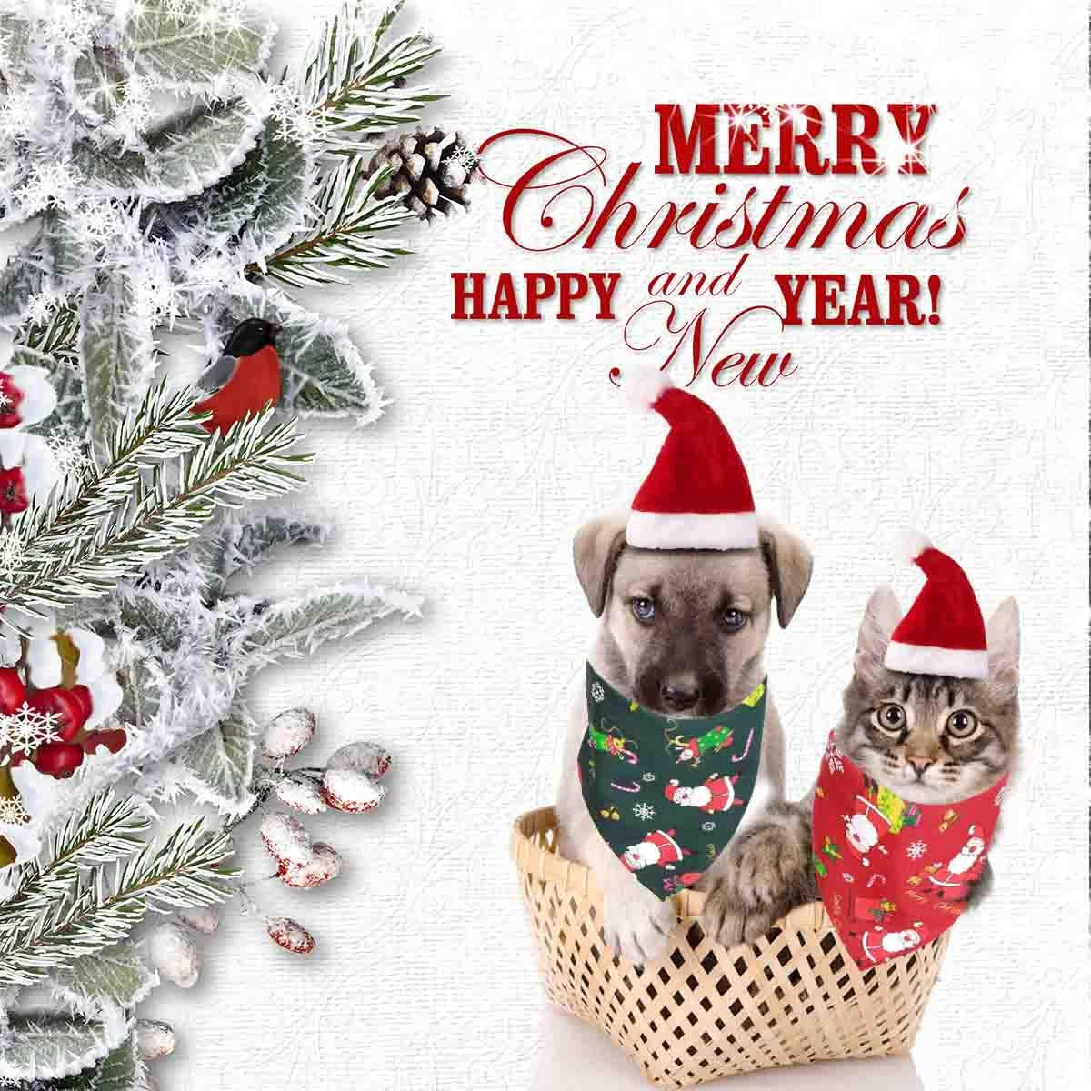 Christmas Dog Bandana & Santa Hat Set  - Holiday Scarf for Dogs & Cats