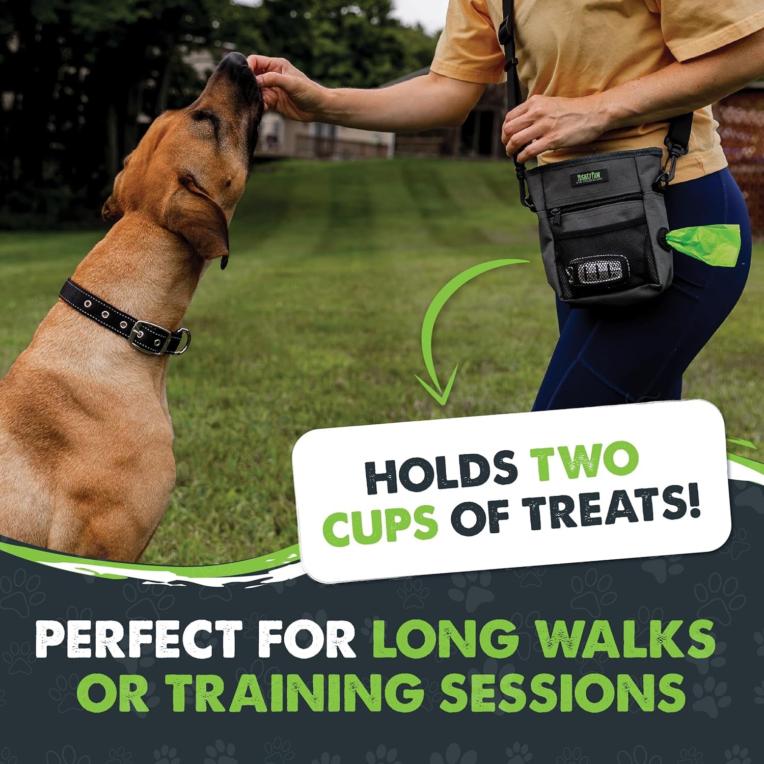 The Ultimate Doggy Snack Satchel