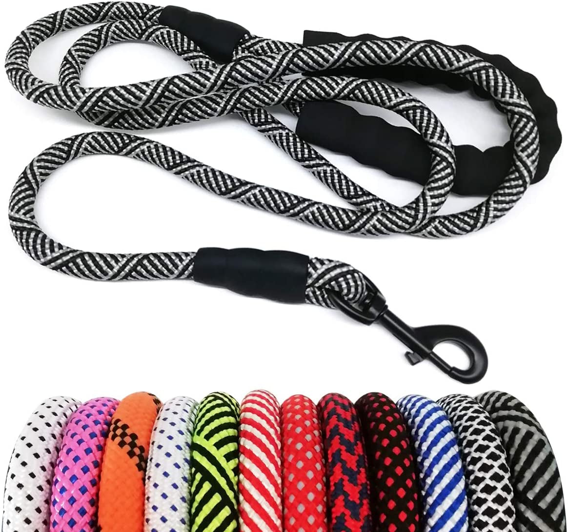 Dog leash with black and white pattern and colorful options below on a white background