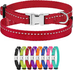 Red dog collar with metal buckle and additional collars in various colors below on a white background