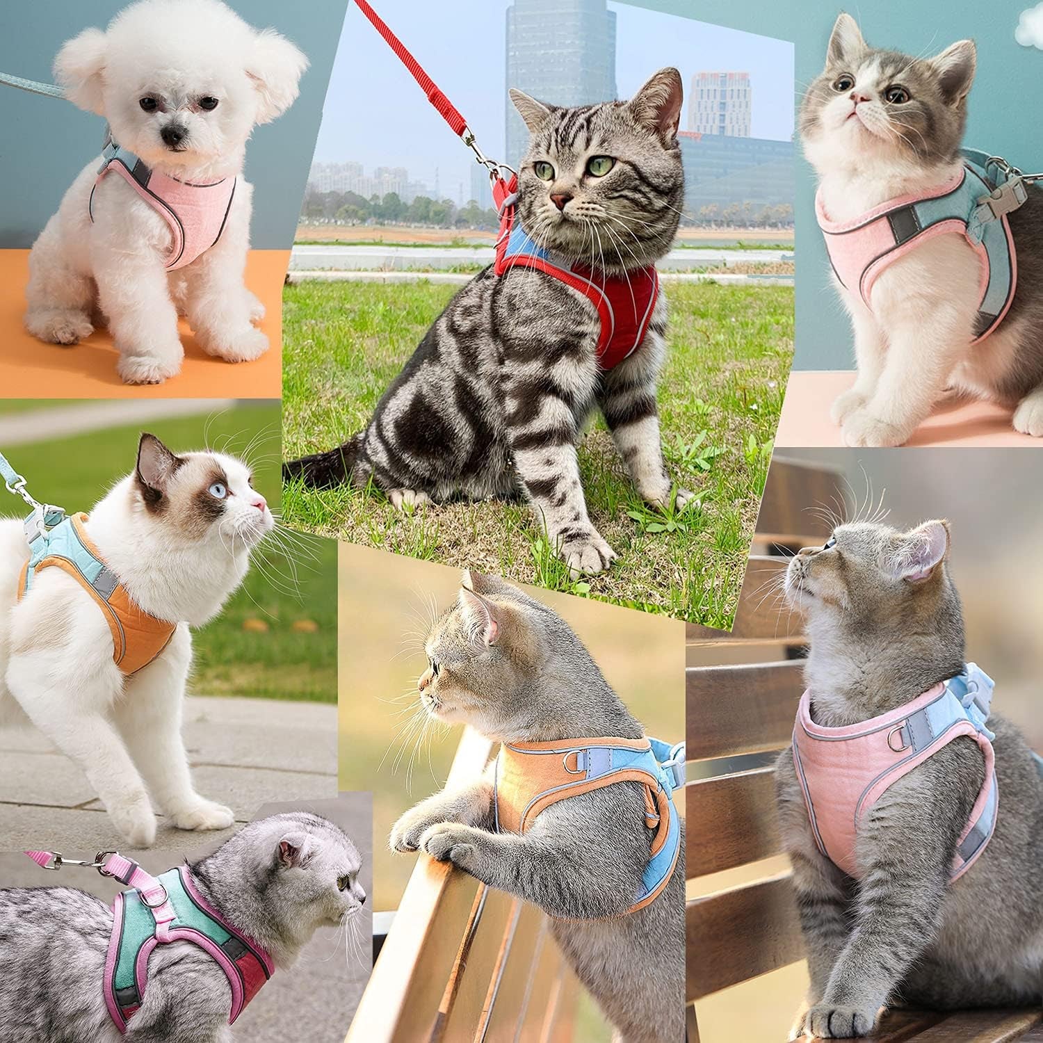 Escape Proof Cat Harness & Leash Set – Reflective, Adjustable, Secure - FurriendlyPaws | Furry Friends, Happy Hearts